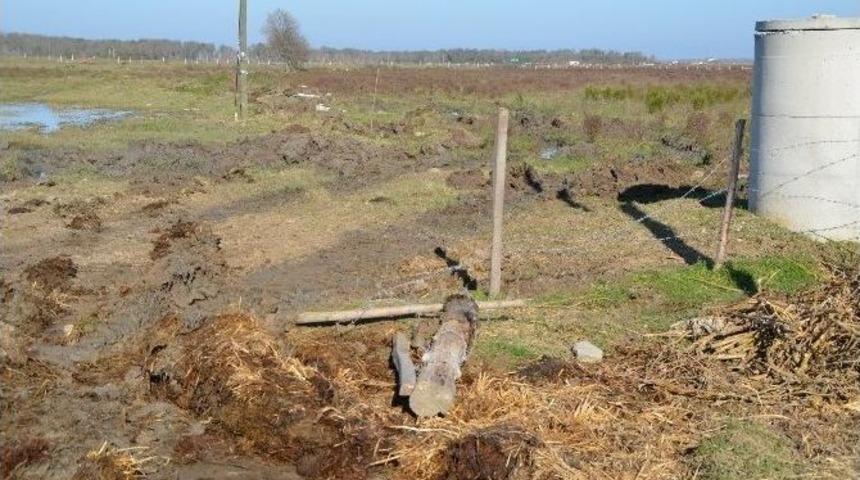 Samsun’da Mera İşgaline Son Verildi