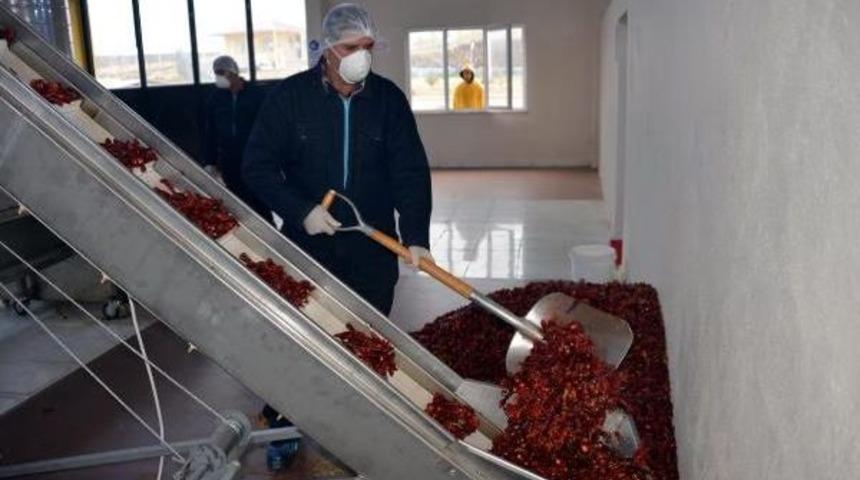 Fabrika Gibi &Ccedil;alışan Cezaevi