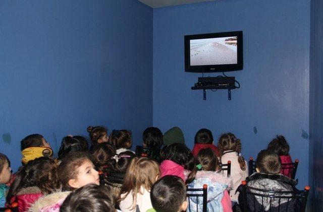 Kartal Belediyesi Kreş Öğrencileri Deniz Kabukları Müzesi’ni Gezdi