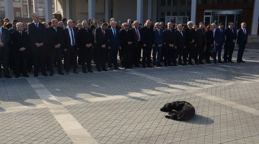 Kutlama T&ouml;reninde Davetsiz Misafir