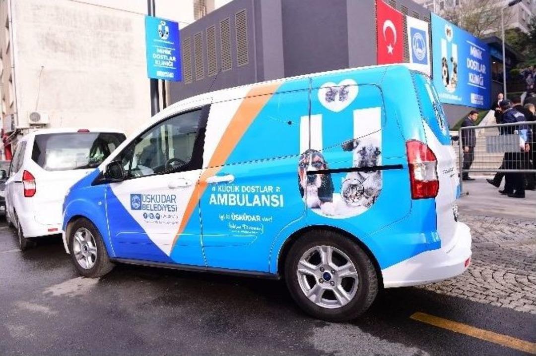 &Uuml;sk&uuml;dar&rsquo;da Sokak Hayvanlarına &Ouml;zel Klinik A&ccedil;ıldı