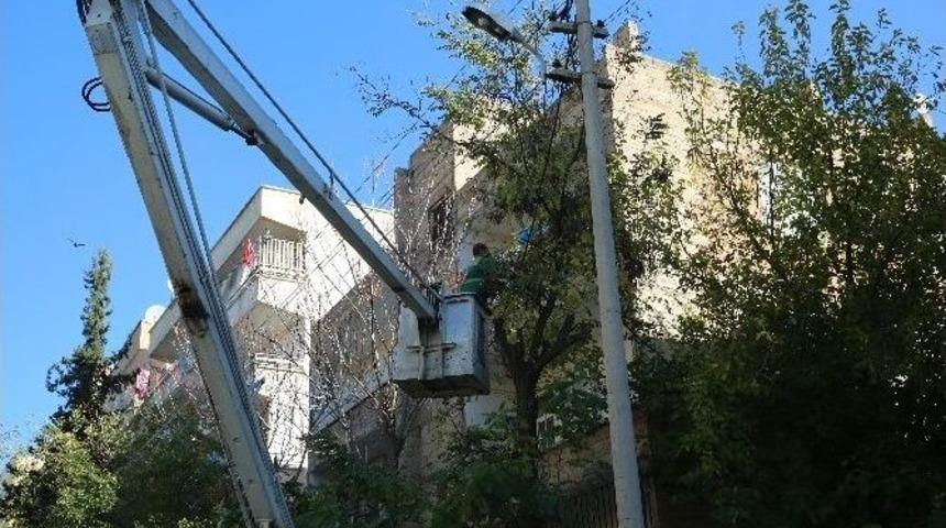 Haliliye Belediyesi Kış Mevsimine Hazırlık Yapıyor