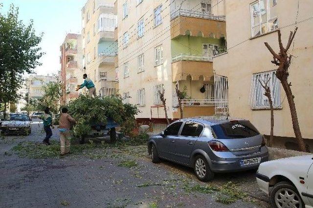 Haliliye Belediyesi Kış Mevsimine Hazırlık Yapıyor