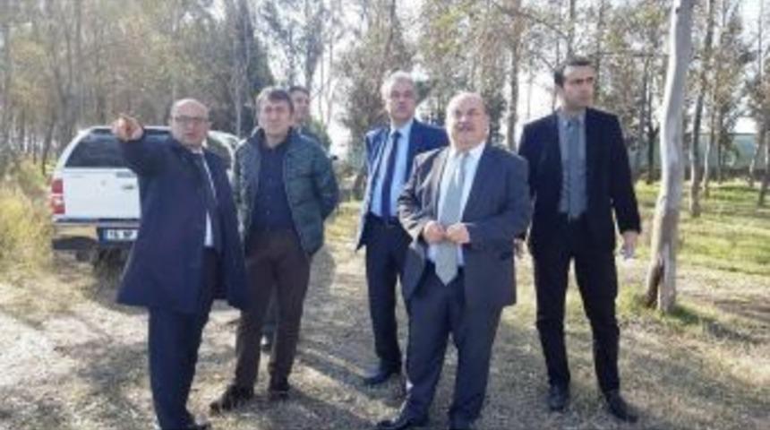 Hersek Lag&uuml;n&uuml; &Ccedil;i&ccedil;ek A&ccedil;acak