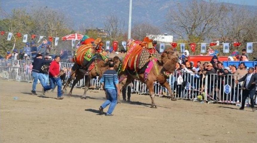 Develer Arenaya Sığmadı
