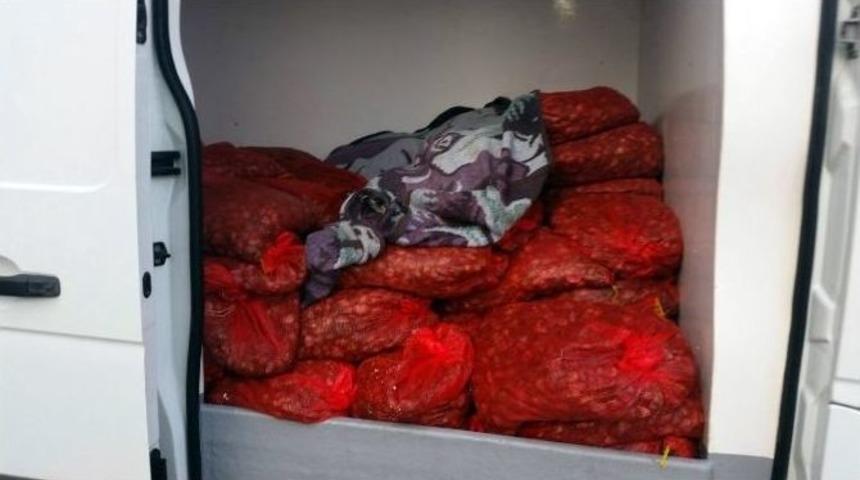 Midye Ka&ccedil;ak&ccedil;ılarına Keşan&rsquo;dan Ge&ccedil;it Yok