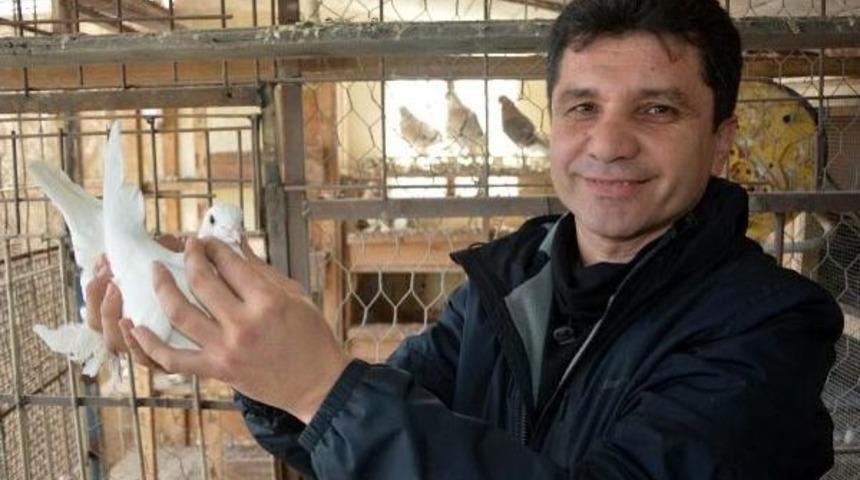 &Ouml;ğretmenin G&uuml;vercin Sevgisi