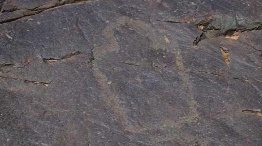 Ter&ouml;r bitti ortaya &ccedil;ıktı