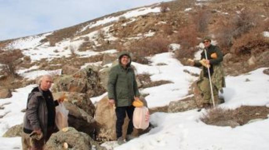 Oltulu Fırın Sahibinden Yaban Hayatına Destek