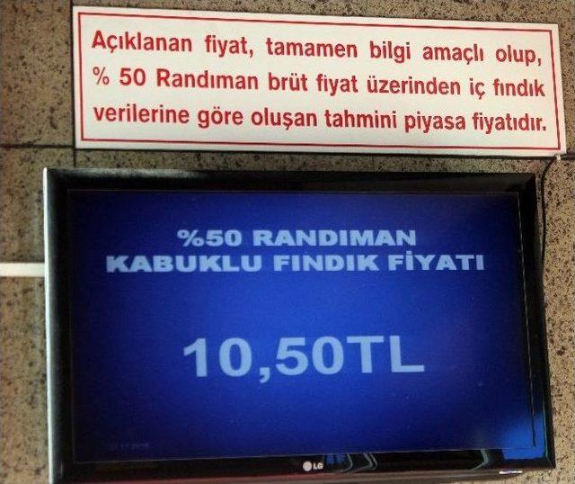 Fiyat Tepkisi, Fındık Fiyatlarını Arttırdı 1