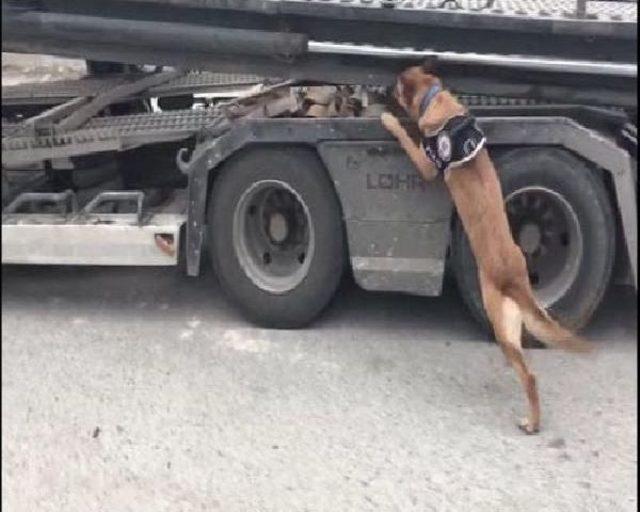 Eskişehir'de Özel Eğitimli Köpekle Uyuşturucu Operasyonu