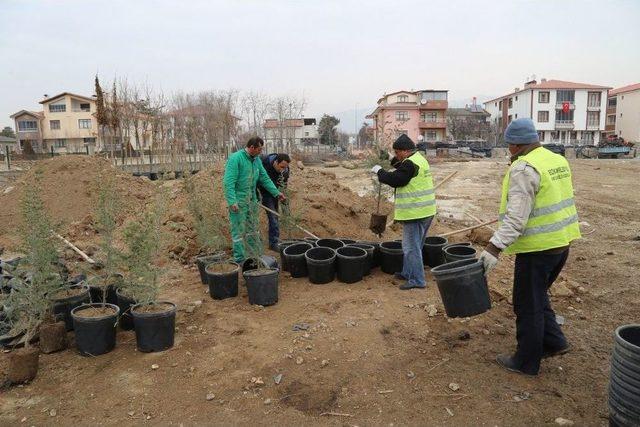 10 Bin Fidan Toprakla Buluşmayı Bekliyor