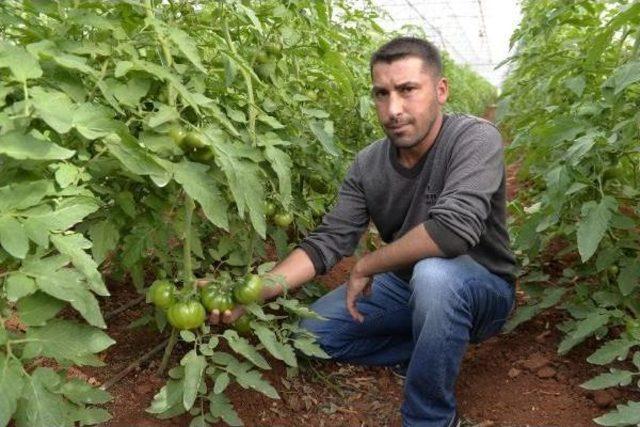 Kısa Süreli Sebze Sıkıntısı Kapıda