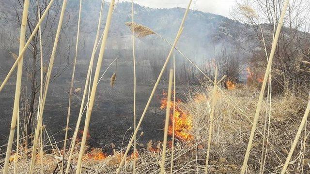 Anız Yangınını İtfaiye Söndürdü