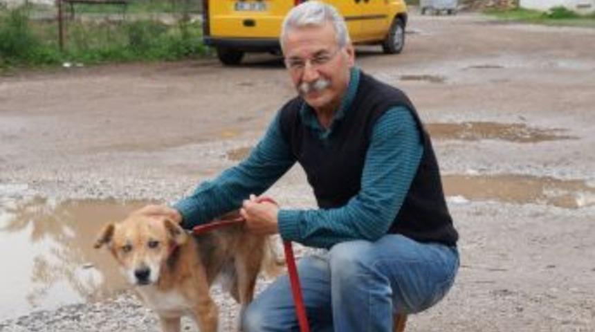 Yeniden Hayata Dönen Garip Artık Mutlu