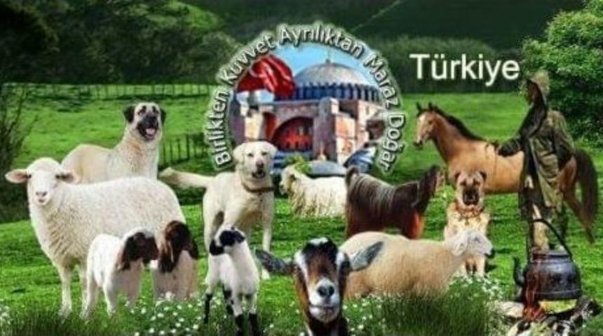 &Ccedil;obanlardan Bursa&rsquo;daki Etkinlik İ&ccedil;in Cumhurbaşkanına Davet