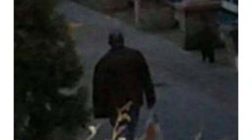 Kedi &Ouml;l&uuml;mleriyle İlgili Bir Kişi G&ouml;zaltına Alındı