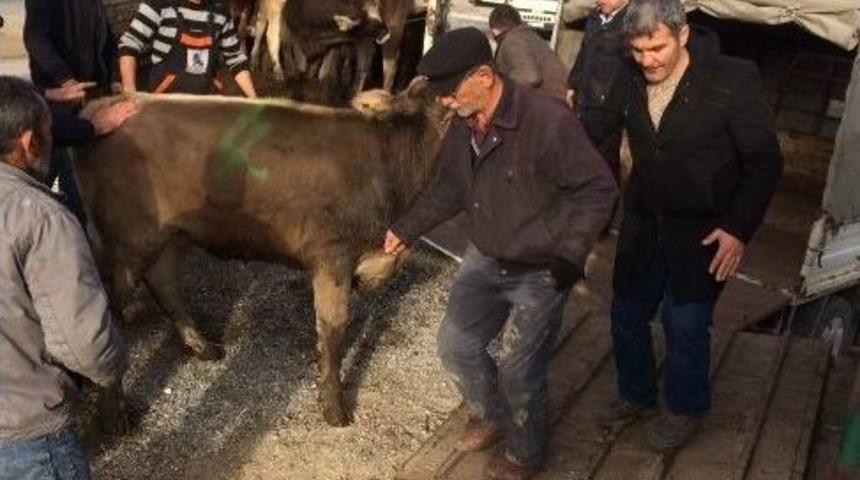 Emet&rsquo;te Bayan &Ccedil;ift&ccedil;ilere D&uuml;ve Dağıtıldı