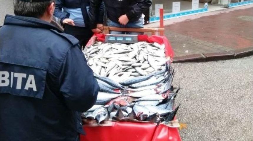 İzmit Zabıtası&rsquo;ndan Seyyara Ge&ccedil;it Yok