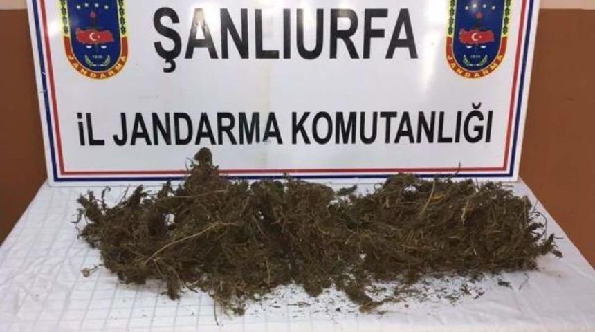 Ak&ccedil;akale'de 1 Kilo Esrara 2 G&ouml;zaltı