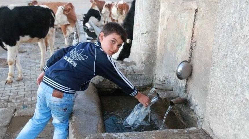 Guatr Hastalığı Olanlar Bu &Ccedil;eşmeye Akın Ediyor