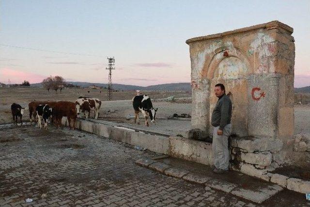 Guatr Hastalığı Olanlar Bu &Ccedil;eşmeye Akın Ediyor 2