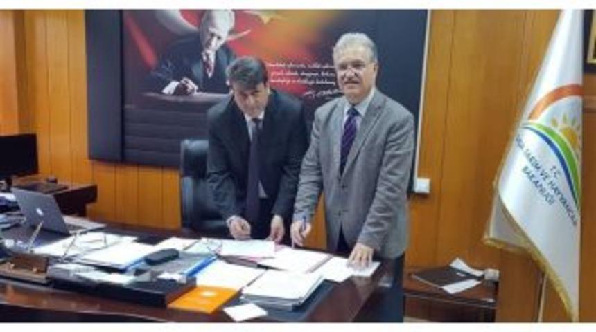 Aydın&rsquo;da B&uuml;y&uuml;kbaş Hayvanların K&uuml;pelenmesi İ&ccedil;in Protokol İmzalandı