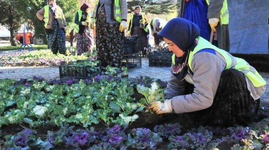 Akşehir Belediyesi &Ccedil;i&ccedil;eklendirme &Ccedil;alışmalarına Başladı