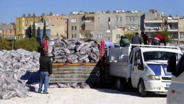 Şanlıurfa’Da Ücretsiz Kömür Dağıtımı Başladı