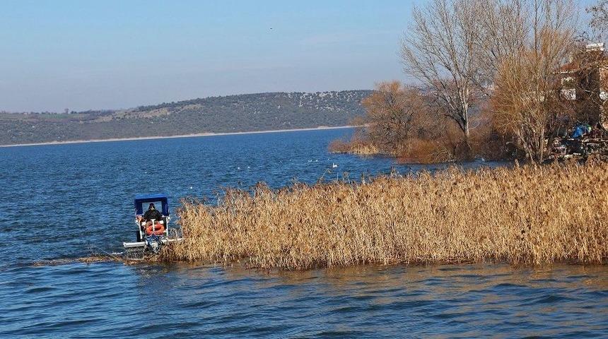 G&ouml;lyazı Sazlıklardan Temizleniyor