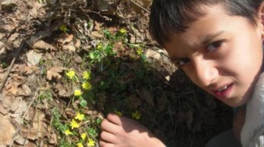 Cemre D&uuml;şt&uuml;, Kır &Ccedil;i&ccedil;ekleri A&ccedil;tı