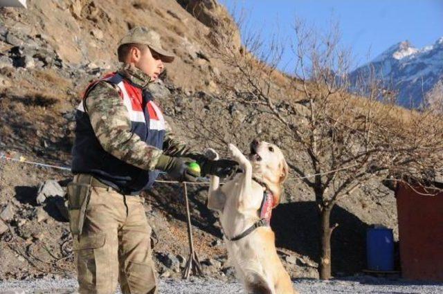 Terörle Mücadelede Mehmetçiğin En Büyük Destekçileri