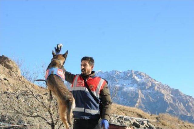 Terörle Mücadelede Mehmetçiğin En Büyük Destekçileri