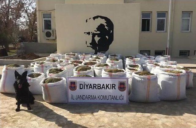 Diyarbakır'da 1 Ton 787 Kilo Esrar Ele Geçirildi