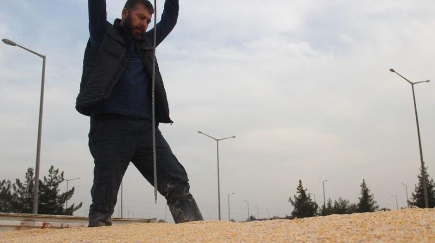 Polis, Mısır Y&uuml;kl&uuml; Tırlarda Şişle Ka&ccedil;ak Akaryakıt Aradı