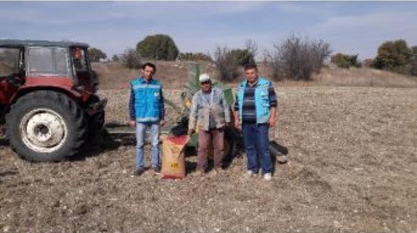 27 &Ccedil;ift&ccedil;iye Macar Fiği Tohumu