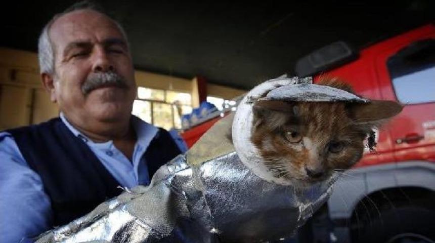Başı Tuvalet Kapağında Sıkışan Yavru Kediyi Itfaiyeciler Kurtardı