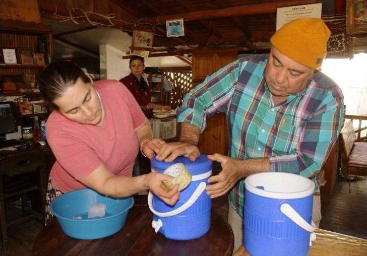 Eşek Sütü Altın Değerinde G5