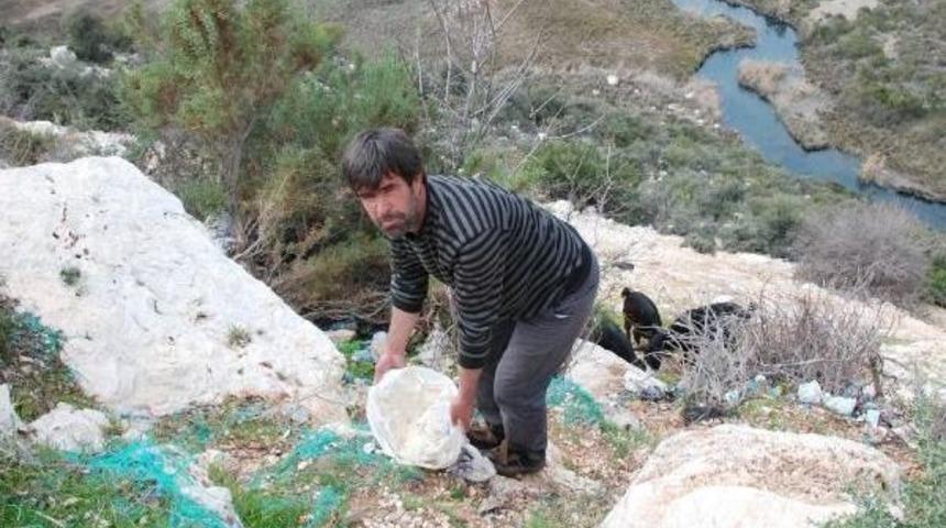 Bayat Mayalı Hamur Keçileri Telef Etti Iddiası