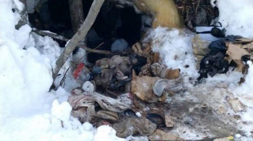 Tunceli&rsquo;de Pkk&rsquo;ya Ait Sığınak Ele Ge&ccedil;irildi