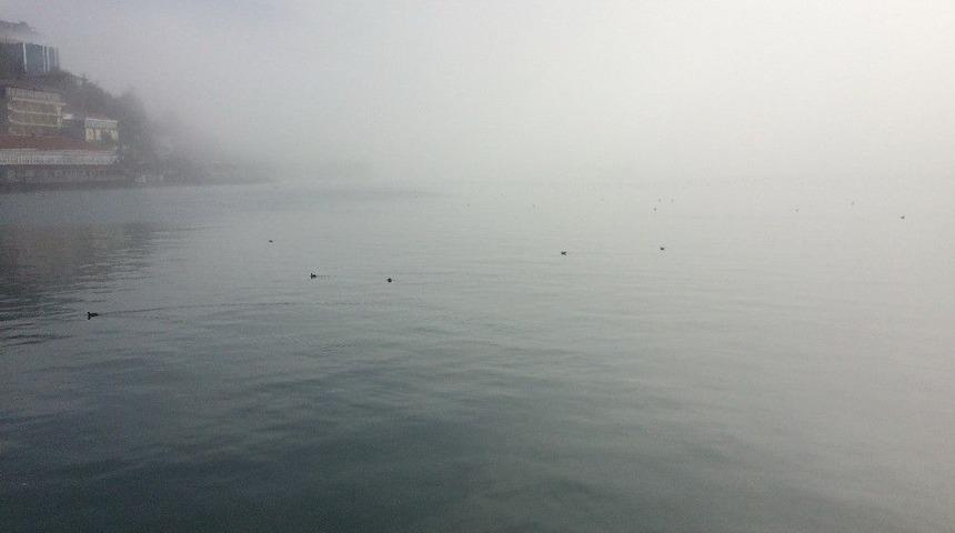 Zonguldak&rsquo;ta Yoğun Sis Etkisini S&uuml;rd&uuml;r&uuml;yor