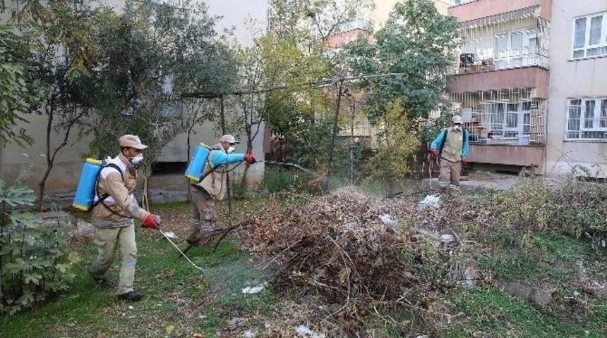 Haliliye Belediyesi Sivrisinek Kışlak M&uuml;cadelesi Başlattı