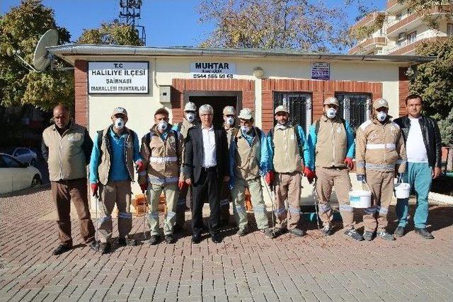 Haliliye Belediyesi Sivrisinek Kışlak Mücadelesi Başlattı