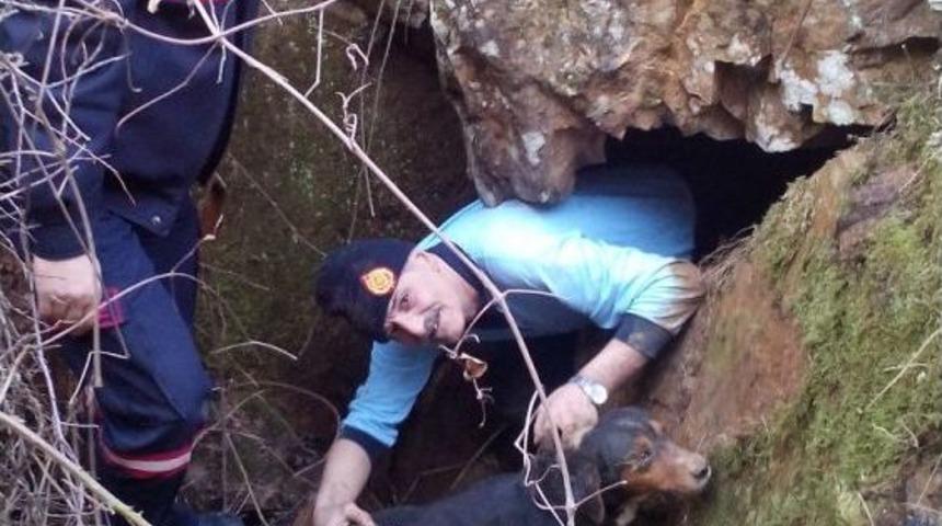 Kayalıklarda Mahsur Kalan Av K&ouml;peğini İtfaiye Kurtardı