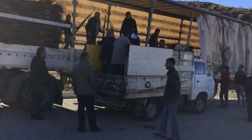 Sason&rsquo;da 14 Bin Ceviz Fidanı Dağıtıldı