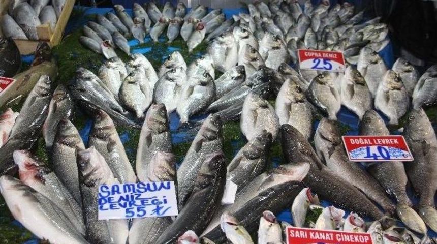 Balık Kırmızı Etle Yarışıyor