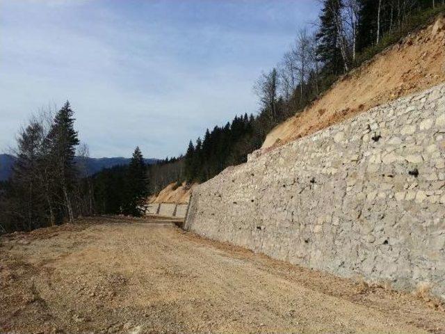 Ordu’Da 'yeşil Yol' Çalışmalarına Devam