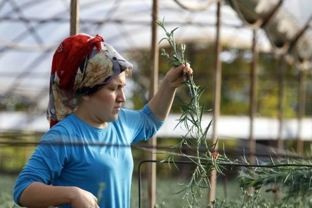 &Ouml;ğretmenlerin &Ccedil;i&ccedil;ekleri Teog&rsquo;a Takıldı