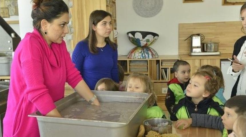 Sukurusu&rsquo;nun Sevimli Misafirleri