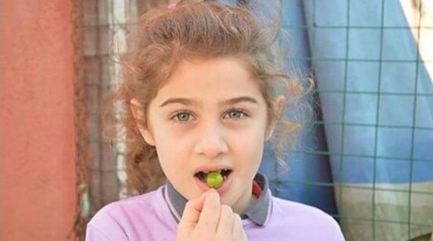 Sakarya&rsquo;da Erik Ağa&ccedil;ları Meyve Verdi